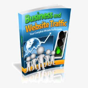 Business and Website Traffic
