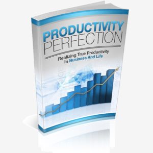 Productivity Perfection